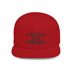 Snapback Hat — "I Give Out Free Spankings" Embroidered Flat Bill Cap