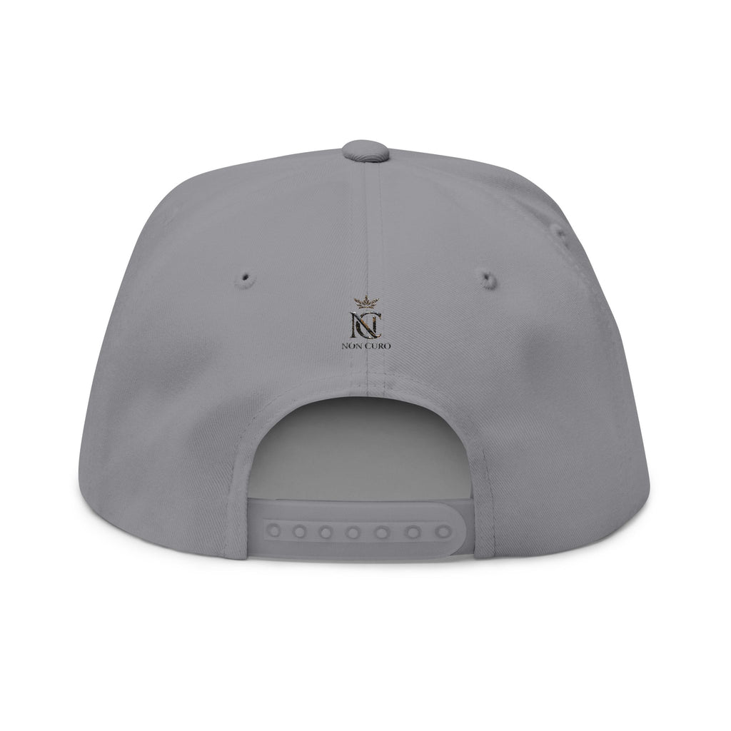 Flat Bill Cap — "I Give Out Free Spankings" Embroidered Snapback