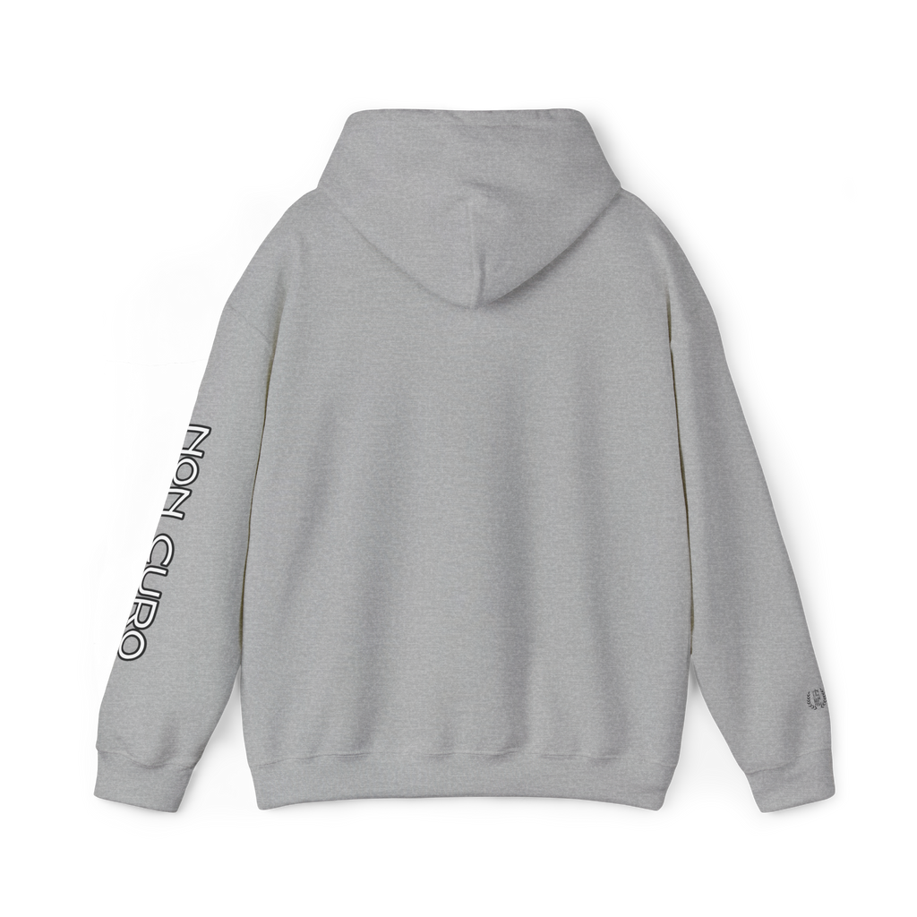 UNHEALED AND UNBOTHERED HOODIE