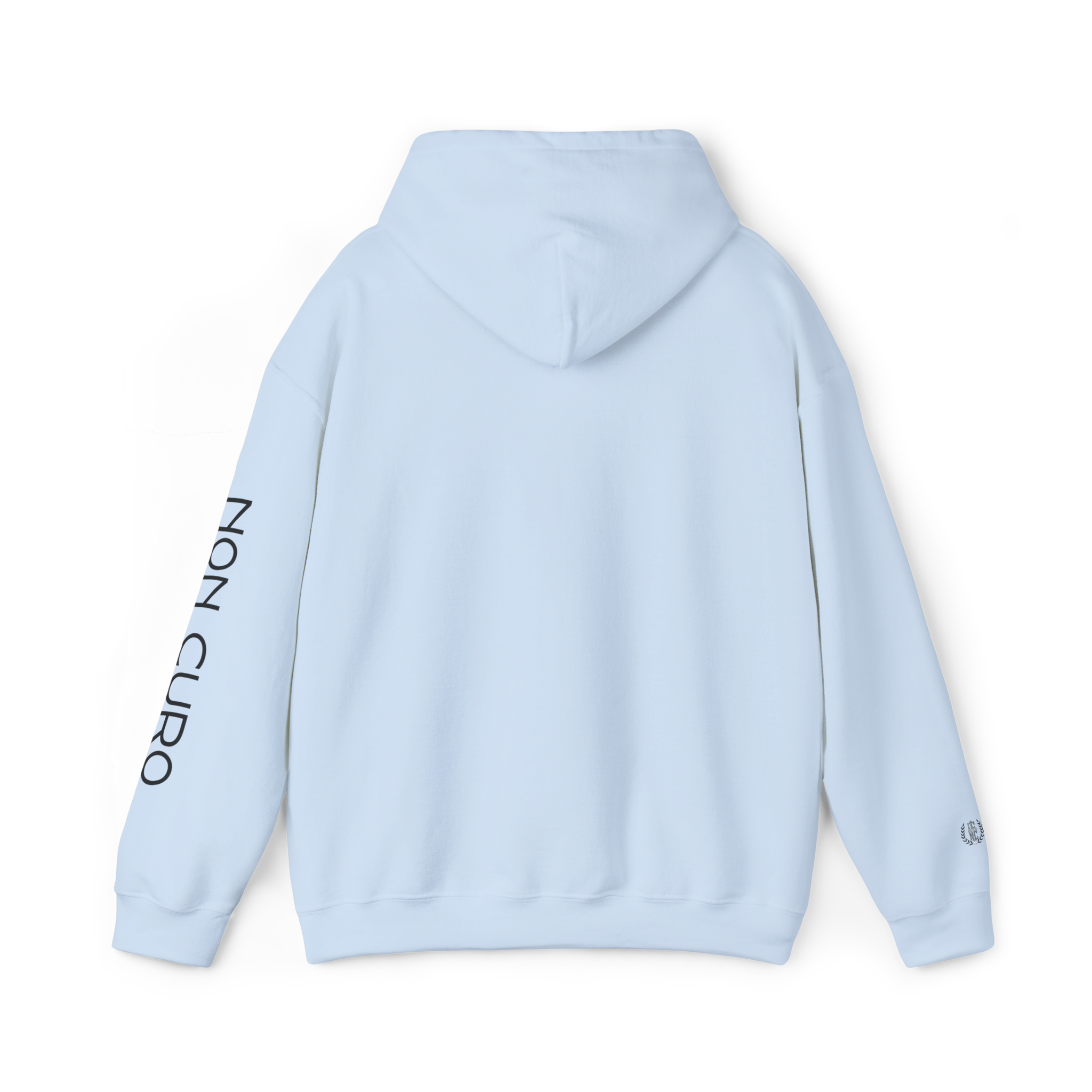 PROFESSIONAL OVERTHINKER -  HOODIE!